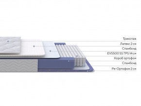 PROxSON Матрас Active Duo S/F (Ткань Трикотаж Эко) 160x190 в Добрянке - dobryanka.mebel24.online | фото 3