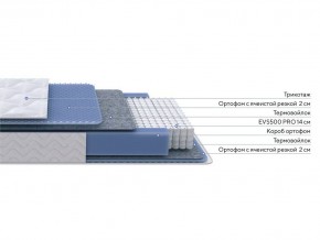 PROxSON Матрас Active M Roll (Ткань Трикотаж Эко) 120x200 в Добрянке - dobryanka.mebel24.online | фото 2