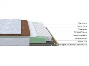 PROxSON Матрас Green Duo M/F (Tricotage Dream) 140x195 в Добрянке - dobryanka.mebel24.online | фото 2