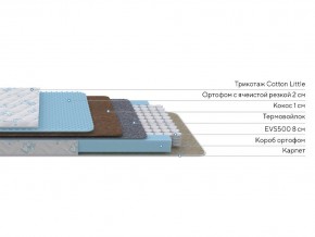 PROxSON Матрас Совенок (Print) 60x170 в Добрянке - dobryanka.mebel24.online | фото 3