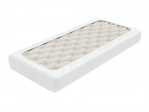 PROxSON Защитный чехол Aqua Save Light S (Ткань влагостойкая Tencel Jersey) 160x190 в Добрянке - dobryanka.mebel24.online | фото 2