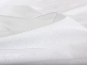 PROxSON Защитный чехол Aqua Save S (Ткань влагостойкая Terry Cloth) 120x200 в Добрянке - dobryanka.mebel24.online | фото 6