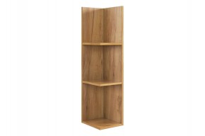 РИЧ Полка навесная 2 в Добрянке - dobryanka.mebel24.online | фото 4