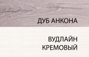 Шкаф 1DZ, OLIVIA, цвет вудлайн крем/дуб анкона в Добрянке - dobryanka.mebel24.online | фото 3