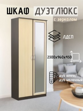 Шкаф 2-х створчатый Дуэт Люкс с зеркалом в Добрянке - dobryanka.mebel24.online | фото