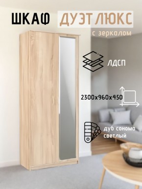 Шкаф 2-х створчатый Дуэт Люкс с зеркалом в Добрянке - dobryanka.mebel24.online | фото 7