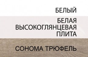 Шкаф 2D/TYP 20A, LINATE ,цвет белый/сонома трюфель в Добрянке - dobryanka.mebel24.online | фото 4