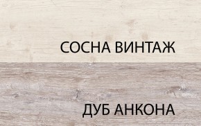 Шкаф 2DG2S, MONAKO, цвет Сосна винтаж/дуб анкона в Добрянке - dobryanka.mebel24.online | фото