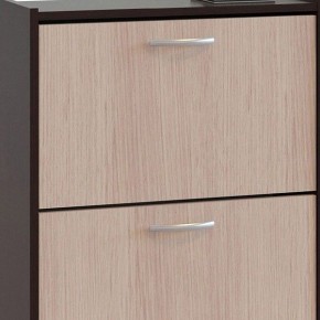 Шкаф для обуви ТО-24 в Добрянке - dobryanka.mebel24.online | фото 4