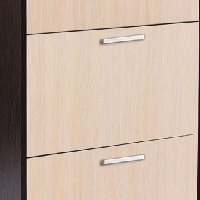 Шкаф для обуви УК-4 в Добрянке - dobryanka.mebel24.online | фото 2