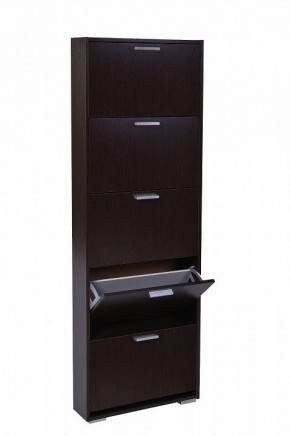 Шкаф для обуви УК-5 10000130 в Добрянке - dobryanka.mebel24.online | фото