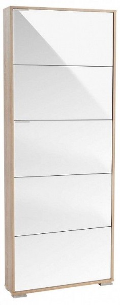 Шкаф для обуви Viva-5LW в Добрянке - dobryanka.mebel24.online | фото