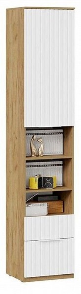 Шкаф комбинированный Хилтон Исп. 2 в Добрянке - dobryanka.mebel24.online | фото 4