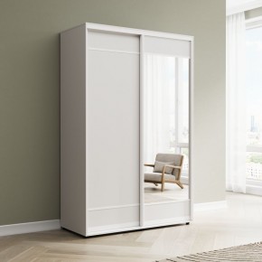 Шкаф-купе Акцент-Лайт ДЗ 1200-600 в Добрянке - dobryanka.mebel24.online | фото 1