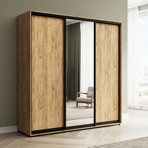 Шкаф-купе Акцент-Сим ДЗ 2400-600 в Добрянке - dobryanka.mebel24.online | фото 4