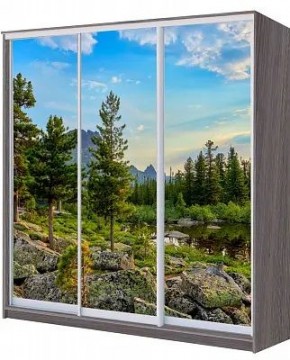 Шкаф-купе ХИТ 22-4-20/2-777 ПРИРОДА в Добрянке - dobryanka.mebel24.online | фото