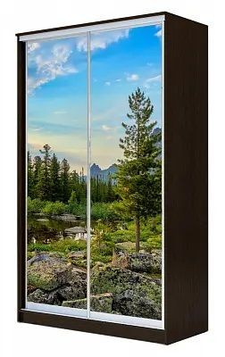 Шкаф-купе ХИТ 23-17-77 ПРИРОДА в Добрянке - dobryanka.mebel24.online | фото