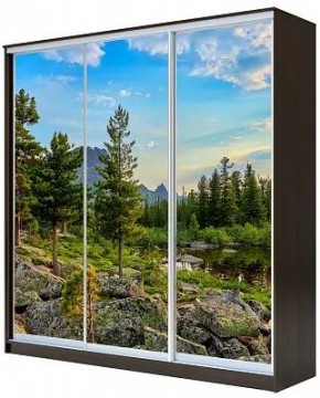 Шкаф-купе ХИТ 23-18/2-777 ПРИРОДА в Добрянке - dobryanka.mebel24.online | фото