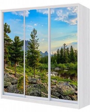 Шкаф-купе ХИТ 23-4-20/2-777 ПРИРОДА в Добрянке - dobryanka.mebel24.online | фото