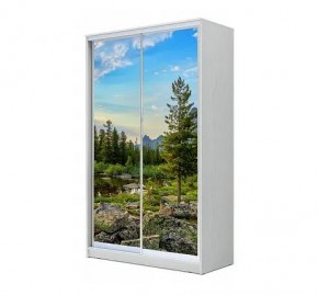 Шкаф-купе ХИТ 24-12/2-77 (620) в Добрянке - dobryanka.mebel24.online | фото