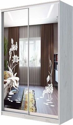 Шкаф-купе ХИТ 24-14-66 ЦАПЛИ в Добрянке - dobryanka.mebel24.online | фото