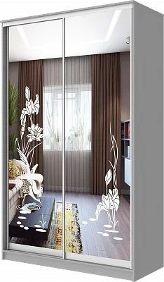 Шкаф-купе ХИТ 24-15-66 ЦАПЛИ в Добрянке - dobryanka.mebel24.online | фото