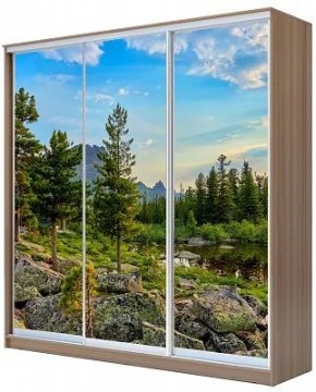 Шкаф-купе ХИТ 24-18-777 ПРИРОДА в Добрянке - dobryanka.mebel24.online | фото