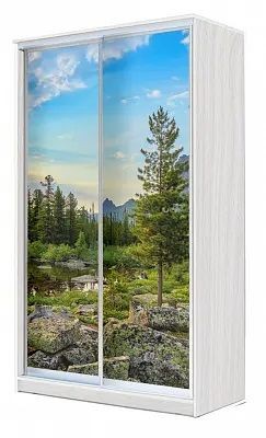 Шкаф-купе ХИТ 24-4-15-77 ПРИРОДА в Добрянке - dobryanka.mebel24.online | фото