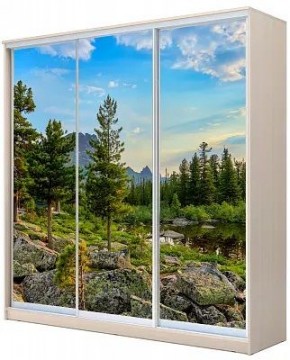 Шкаф-купе ХИТ 24-4-20-777 ПРИРОДА в Добрянке - dobryanka.mebel24.online | фото