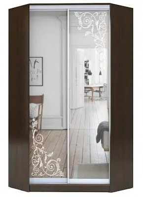 Шкаф-купе ХИТ-У-22-4-66 ОРНАМЕНТ в Добрянке - dobryanka.mebel24.online | фото