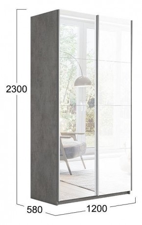 Шкаф-купе Траст СШК 2.120.60-13.15 в Добрянке - dobryanka.mebel24.online | фото 3