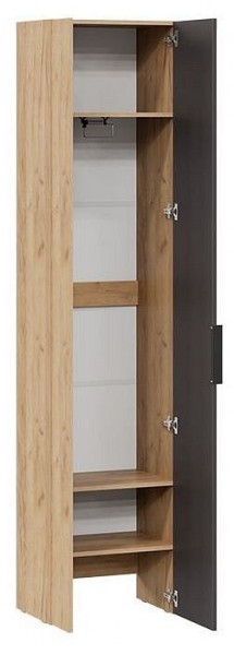 Шкаф платяной Асти в Добрянке - dobryanka.mebel24.online | фото 2