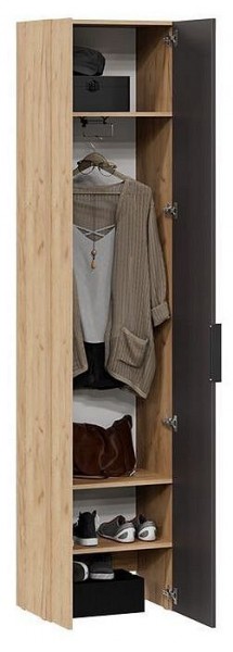 Шкаф платяной Асти в Добрянке - dobryanka.mebel24.online | фото 3