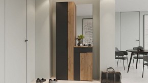 Шкаф платяной Асти в Добрянке - dobryanka.mebel24.online | фото 5