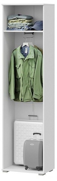 Шкаф платяной Эрика в Добрянке - dobryanka.mebel24.online | фото 2