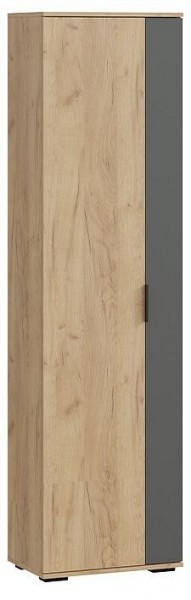 Шкаф платяной Эвита в Добрянке - dobryanka.mebel24.online | фото