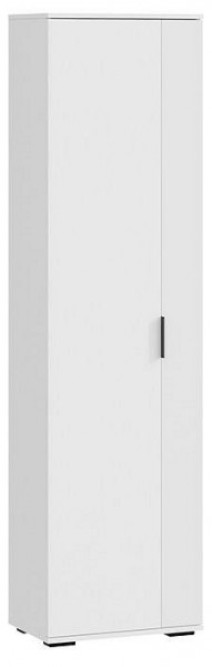 Шкаф платяной Эвита в Добрянке - dobryanka.mebel24.online | фото