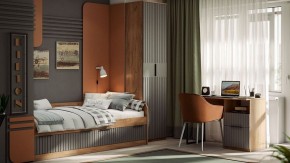 Шкаф платяной Хилтон Исп. 2 в Добрянке - dobryanka.mebel24.online | фото 5