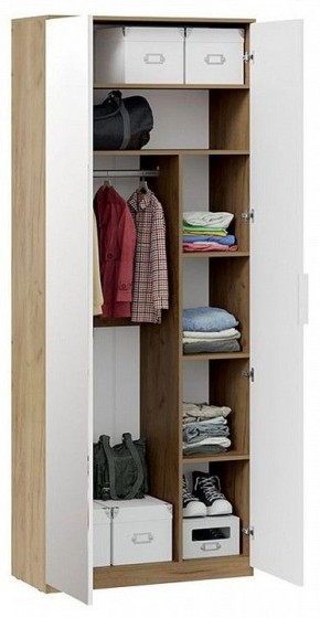 Шкаф платяной Хилтон Исп. 2.1 в Добрянке - dobryanka.mebel24.online | фото 4