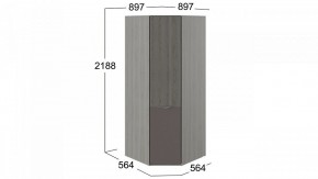 Шкаф платяной Либерти СМ-297.07.033 в Добрянке - dobryanka.mebel24.online | фото 3