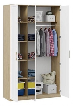 Шкаф платяной Сэнди в Добрянке - dobryanka.mebel24.online | фото 3