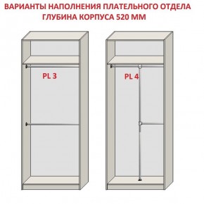 Шкаф распашной серия «ЗЕВС» (PL3/С1/PL2) в Добрянке - dobryanka.mebel24.online | фото 10