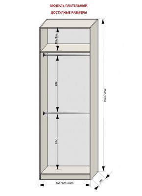 Шкаф распашной серия «ЗЕВС» (PL3/С1/PL2) в Добрянке - dobryanka.mebel24.online | фото 12