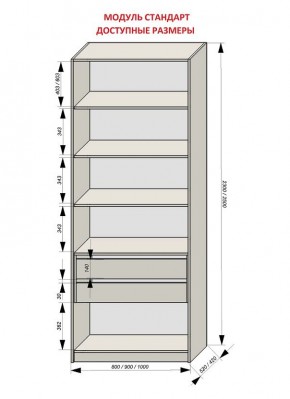 Шкаф распашной серия «ЗЕВС» (PL3/С1/PL2) в Добрянке - dobryanka.mebel24.online | фото 13