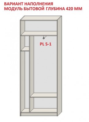 Шкаф распашной серия «ЗЕВС» (PL3/С1/PL2) в Добрянке - dobryanka.mebel24.online | фото 4