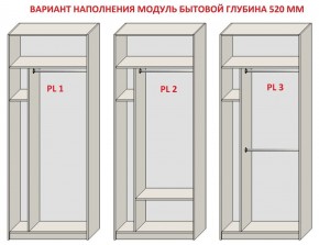 Шкаф распашной серия «ЗЕВС» (PL3/С1/PL2) в Добрянке - dobryanka.mebel24.online | фото 5