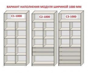 Шкаф распашной серия «ЗЕВС» (PL3/С1/PL2) в Добрянке - dobryanka.mebel24.online | фото 7