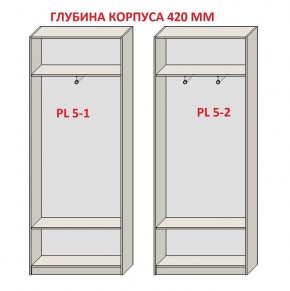 Шкаф распашной серия «ЗЕВС» (PL3/С1/PL2) в Добрянке - dobryanka.mebel24.online | фото 8