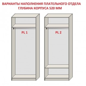 Шкаф распашной серия «ЗЕВС» (PL3/С1/PL2) в Добрянке - dobryanka.mebel24.online | фото 9