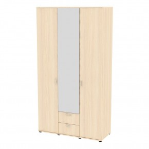Шкаф с зеркалом Ольга H54_M в Добрянке - dobryanka.mebel24.online | фото 9